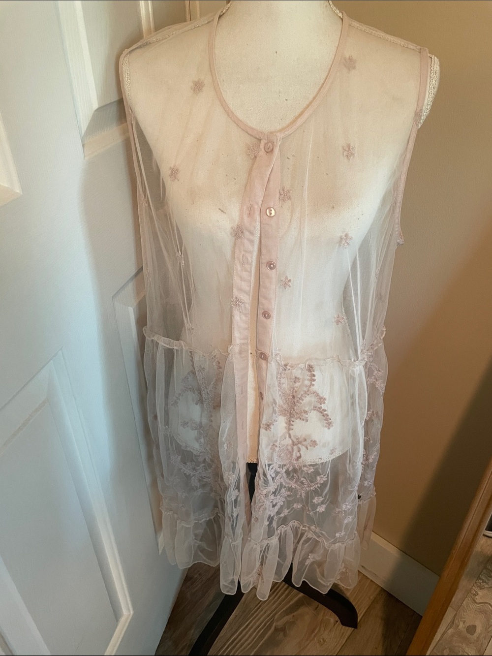 JBL Pale Blush Sheer Embroidered Sleeveless Dress